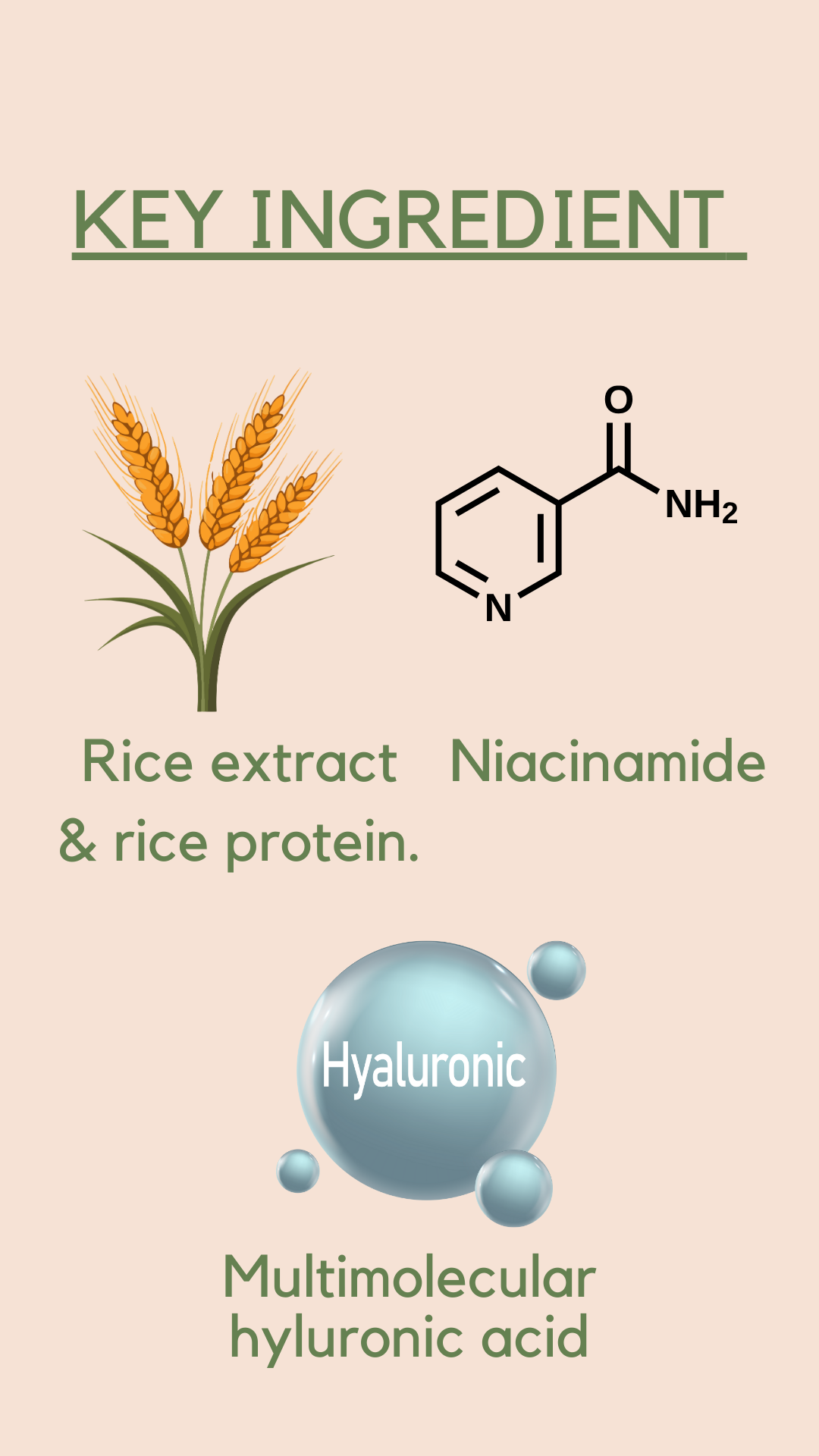 Niacinamide 10% face serum with rice extract